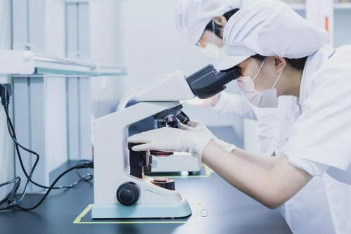 天津尚美研发总监张蕾 紧跟时代潮流,专注中草药化妆品研发